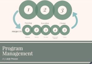 Program Management process, diagram, program