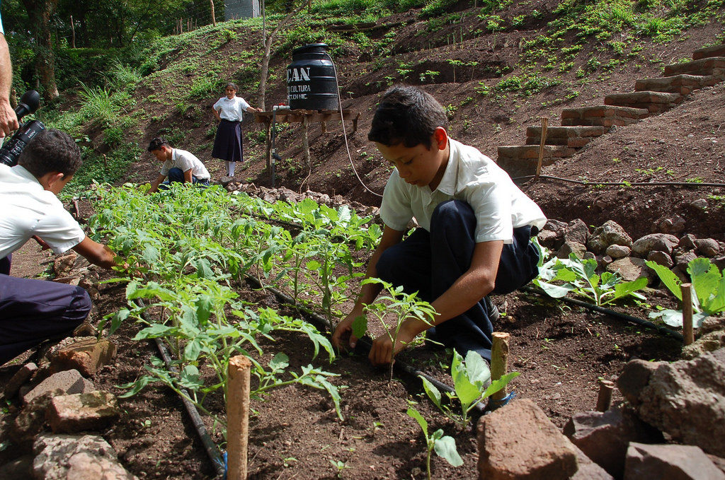 youth planting in Nicaragua