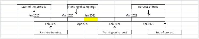 What Is Timeline In Project Proposal