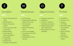 SWOT analysis, project context, SWOT analysis of NGO