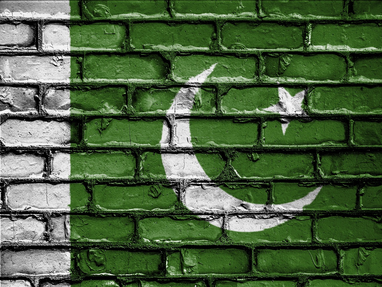flag of pakistan..